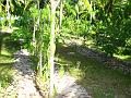 6h-La Digue JCL_0245